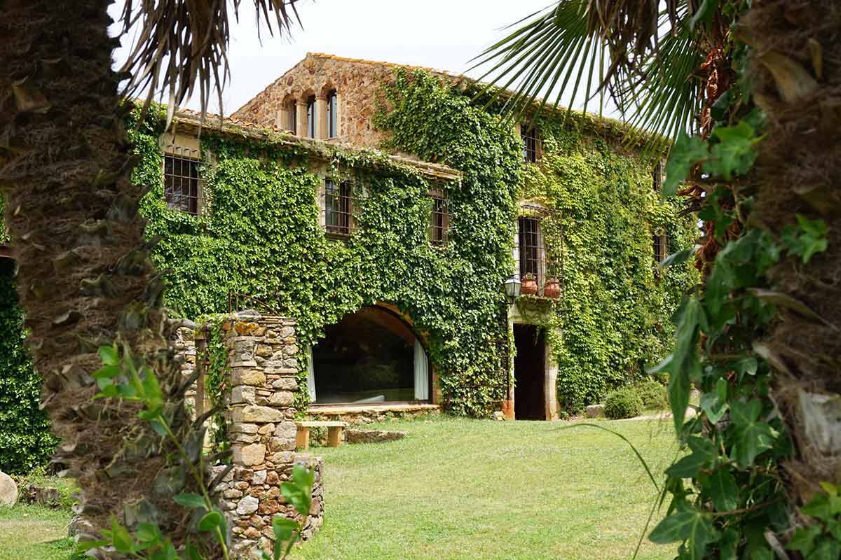 Ayahuasca Retreat in Spain | Avalon